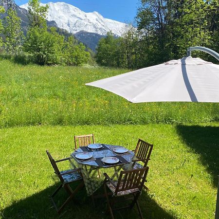 Appartement Lumineux Et Cosy En Rez De Jardin Saint-Gervais-les-Bains Exterior foto